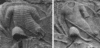 Armadura sármata de escamas en la columna de Trajano